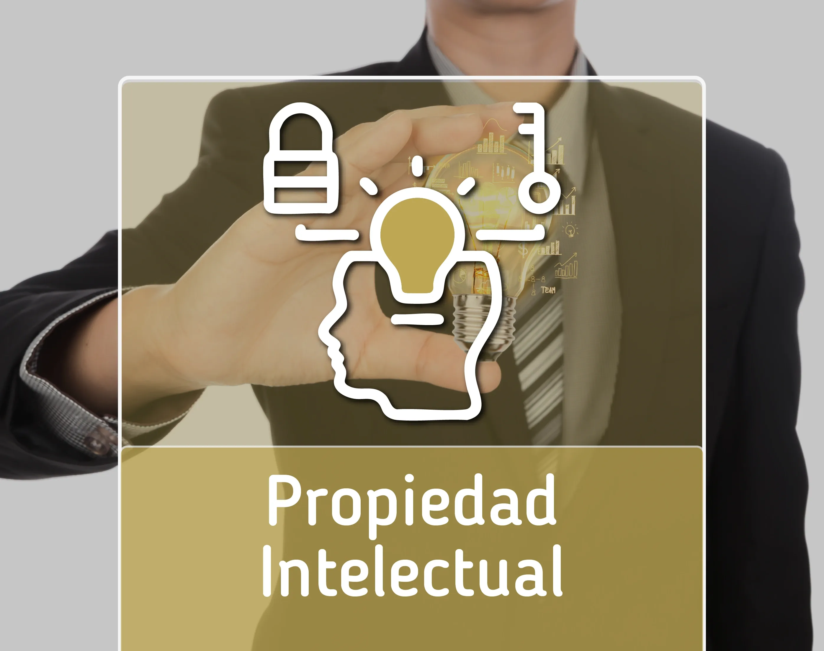 R.L Propiedad Intelectual